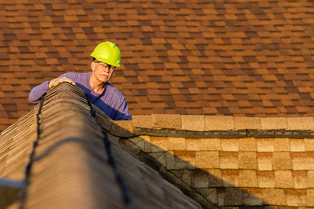 Best Roof Inspection Near Me  in Pawnee, IL